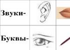 Логопедические упражнения на звуки т и д