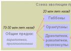 Направления эволюции человека - древнейшие люди